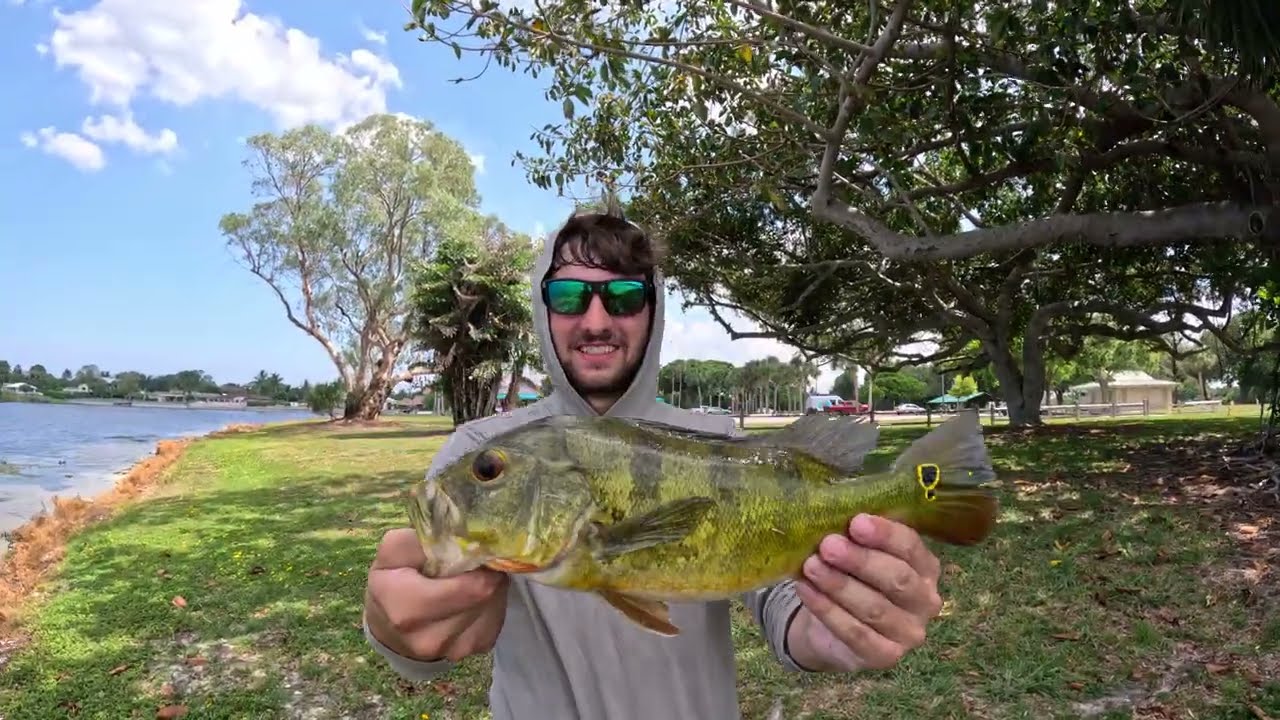 Fishing for Peacocks, Snakeheads, and Clown Knifefish