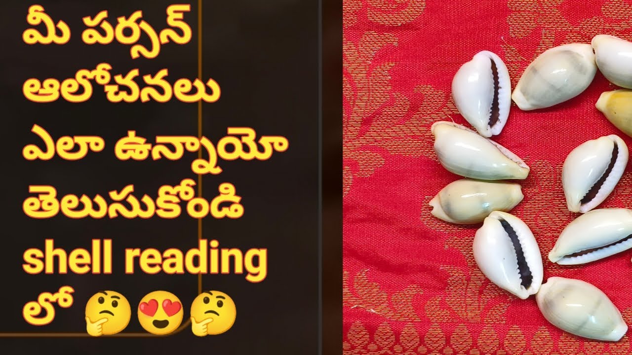 ❤️💯❤మీ పర్సన్ ఆలోచనలు ఎలా ఉన్నాయో తెలుసుకోండి shell reading లో 🤔