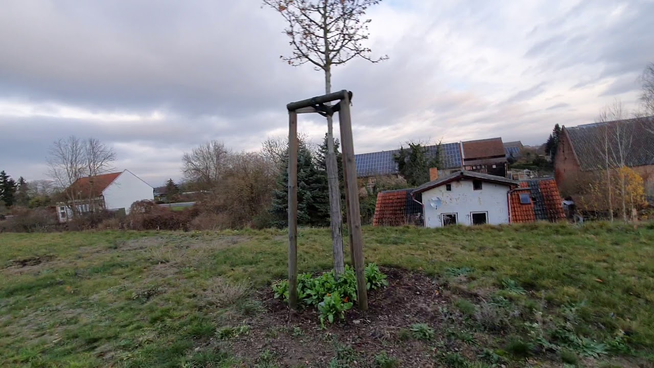 Gartz oder am 19.11.2019 am wall