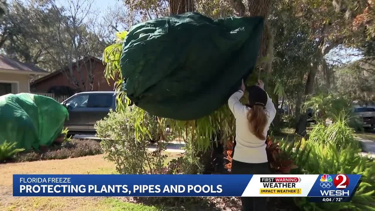 What do you need to do to prep your home, pipes and pool for Florida's extreme cold