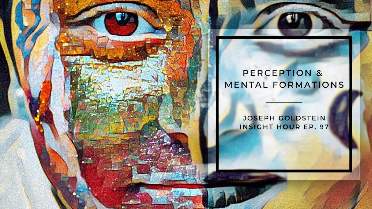 Joseph Goldstein – Insight Hour – Ep. 97 – Perception & Mental Formations