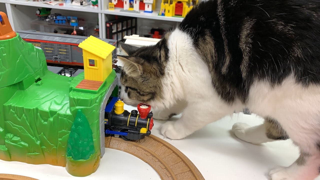 CAT vs GEOTRAX TRAIN