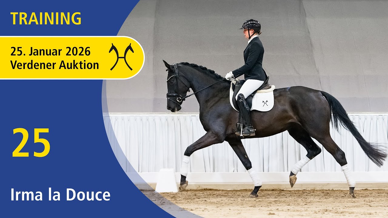 25 Irma la Douce by Imposantos | Verden Auction Online - Sporthorses & Youngster - Jan., 25