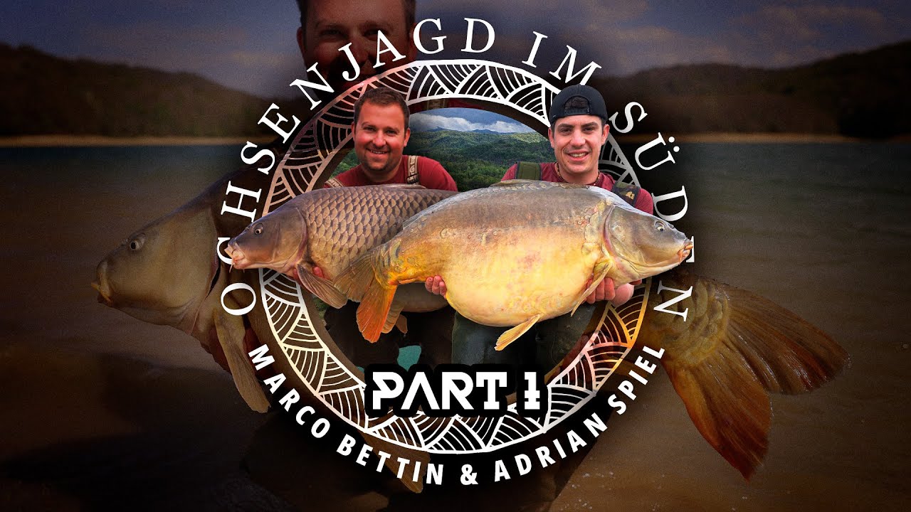 Ochsenjagd im Süden Teil 1 | Baitlounge | Karpfenangeln | Südfrankreich | Köder & Taktik