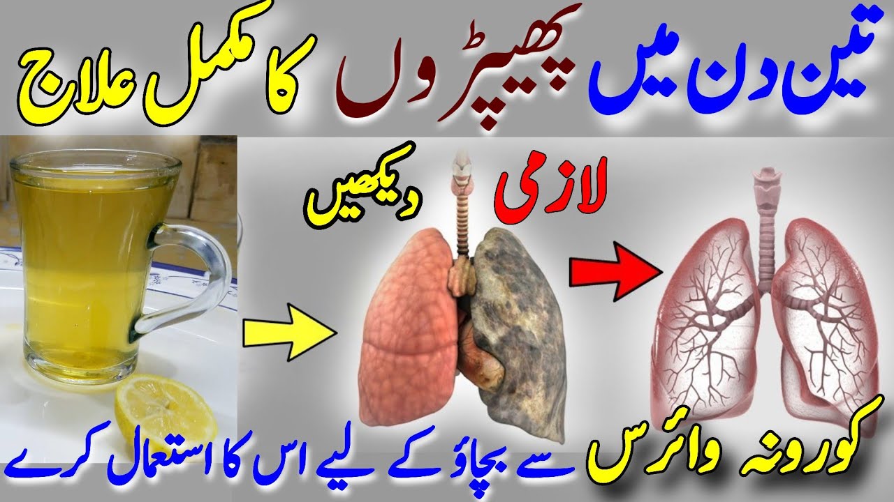 How To Detox & Cleanse Lungs | Fefdo ko Saaf Karne ka Tarika/Fefdo ka ilaj/Lung Cleansing Treatment