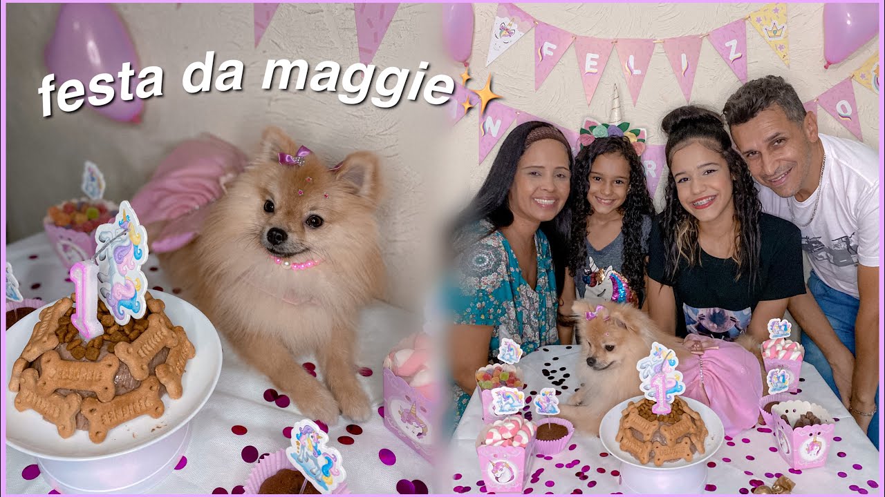 fiz uma festa de aniversário pro meu cachorro💗 1 ano da maggie! ~bolo, vestido, decorações...