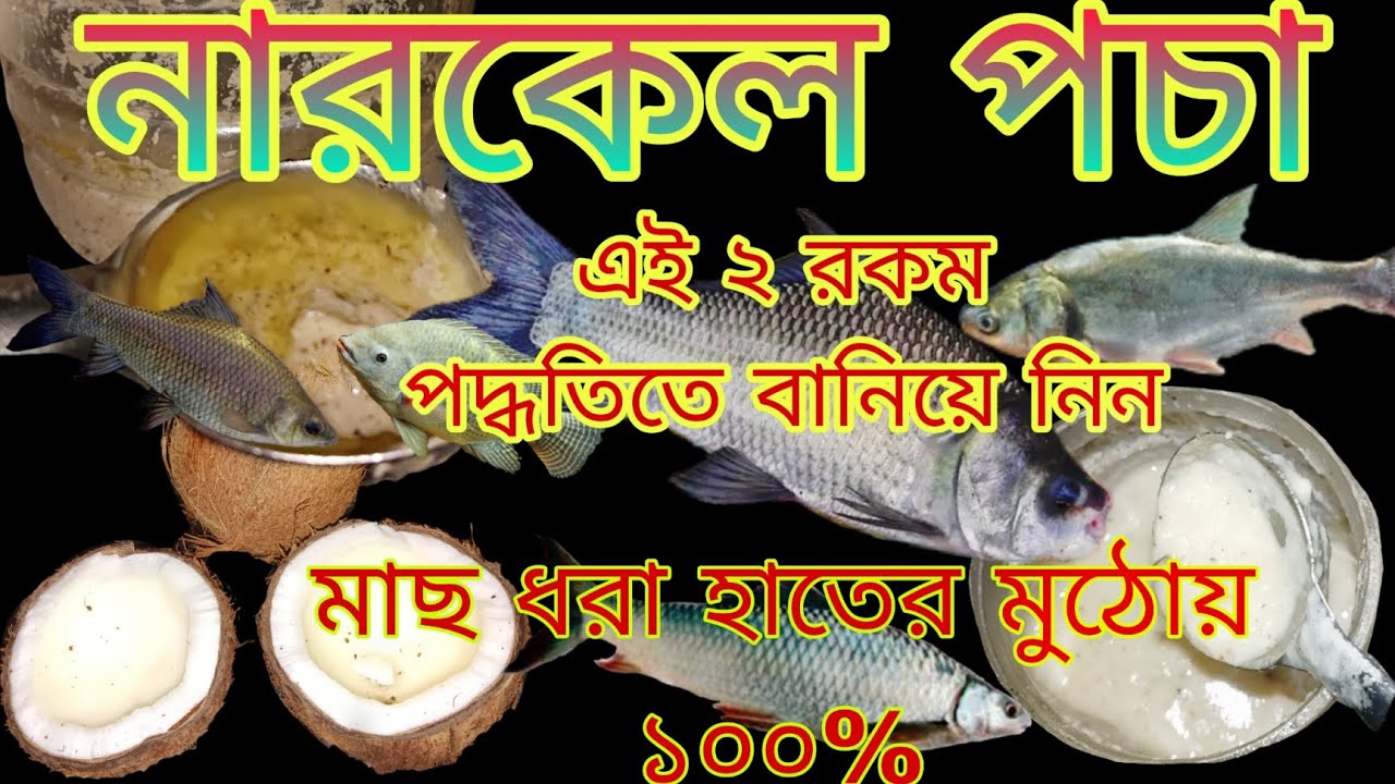 এই 2 রকম পদ্ধতিতে নারকেল পচা বানিয়ে নিন মাছ ধরা হাতের মুঠোয়‼️ narkel pocha#viral#fishing#fish#2025