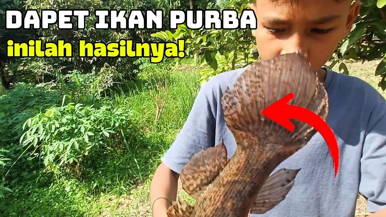 Akhirnya Kami Mendapatkan Ikan Ini!Inilah Hasilnya