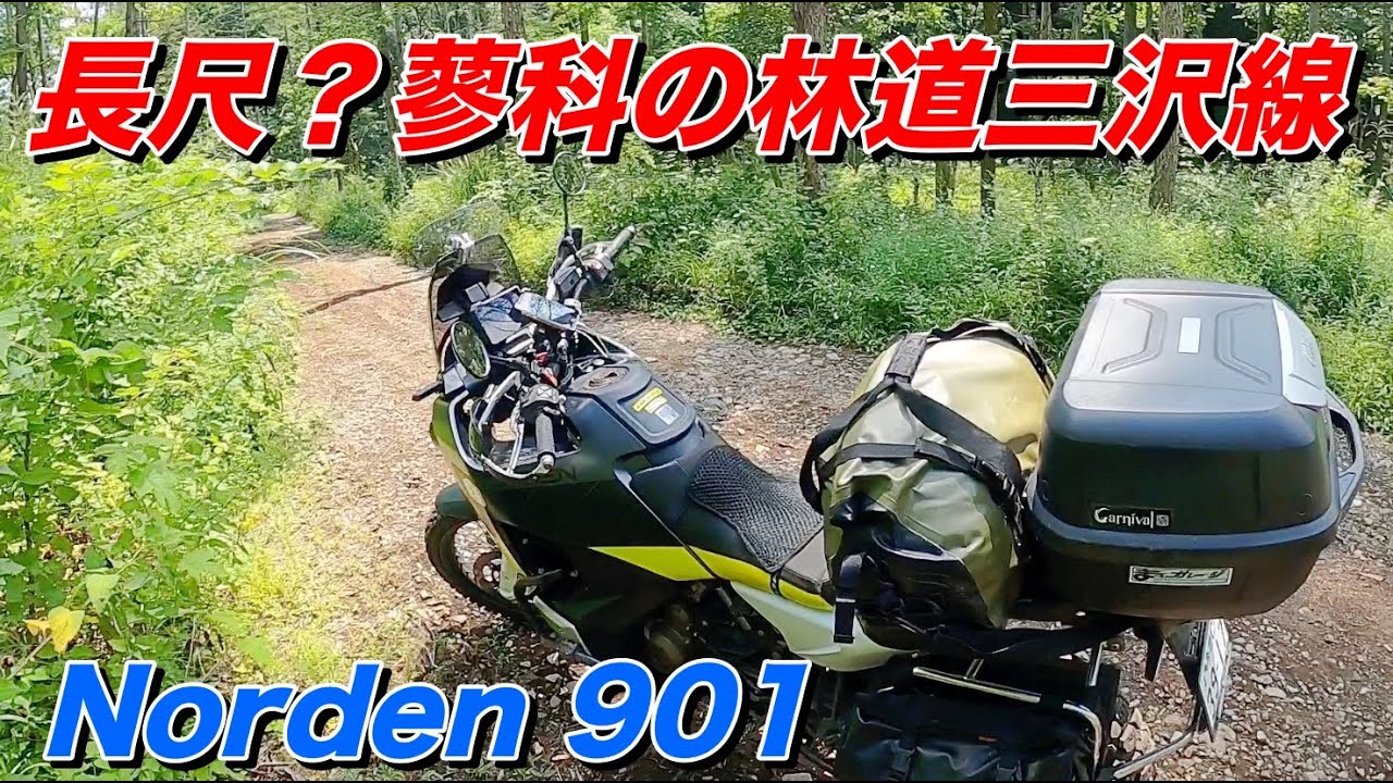 蓼科の林道三沢線、長野県蓼科スカイラインから望月方面へ　Norden 901【モトブログ】大人のバイク
