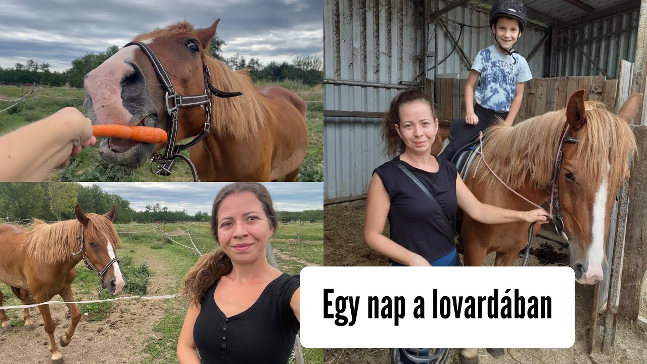 Gyertek el velem a lovardába 🐴 🥰