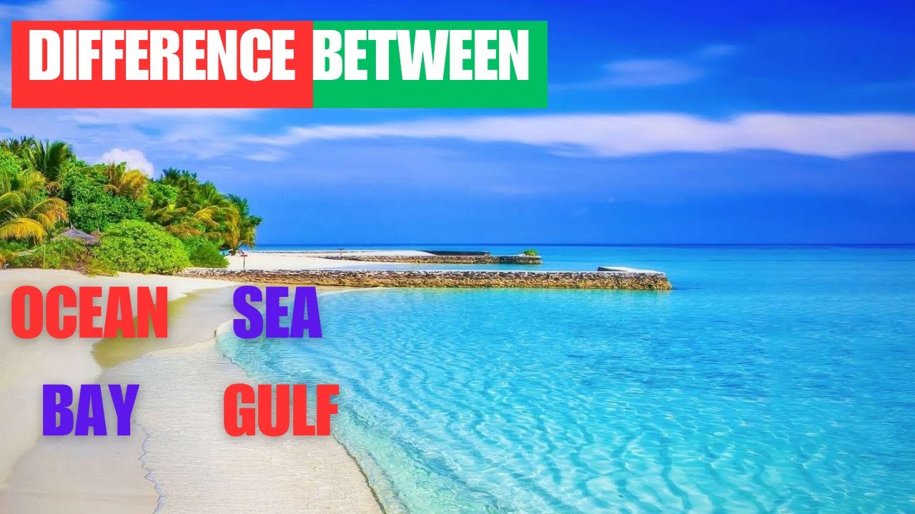 What Is The Difference Between Ocean, Sea, Bay, And Gulf 🌊? #facts #gk #sea