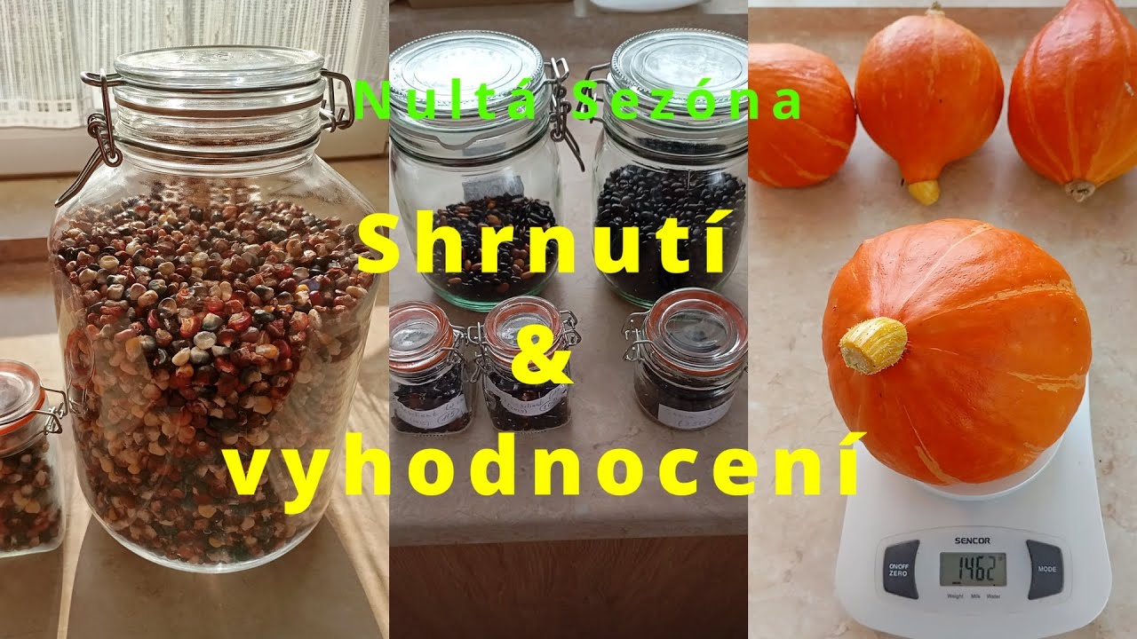 Nultá Sezóna - Shrnutí & Vyhodnocení