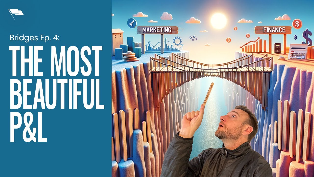 Unveiling the Blueprint: The Most Beautiful P&L in Ecommerce: Bridges Episode 4