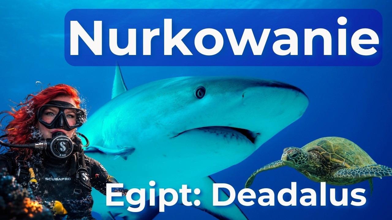 DEADALUS CORAL REEF, RED SEA, EGYPT Safari Boat NURKWOANIE NA RAFIE DEADALUS, MORZE CZERWONE, EGIPT