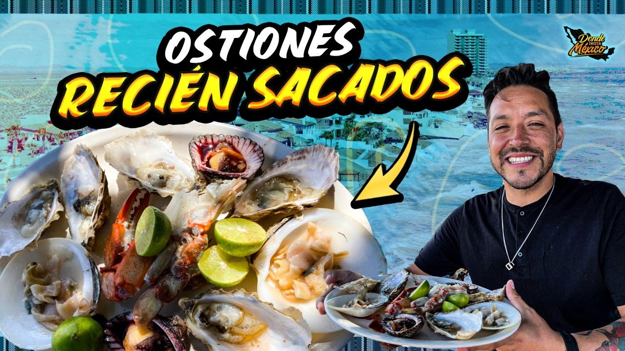 Los Mejores OSTIONES DE MI VIDA con solo $10 pesos | Puerto Peñasco Día 11 #DondeiniciaMexicoLRG