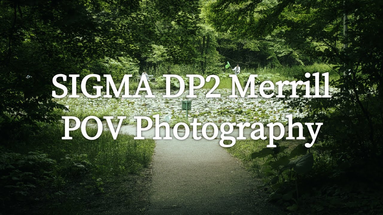 【POV】木々を求めて撮り歩く【SIGMA DP2 Merrill】