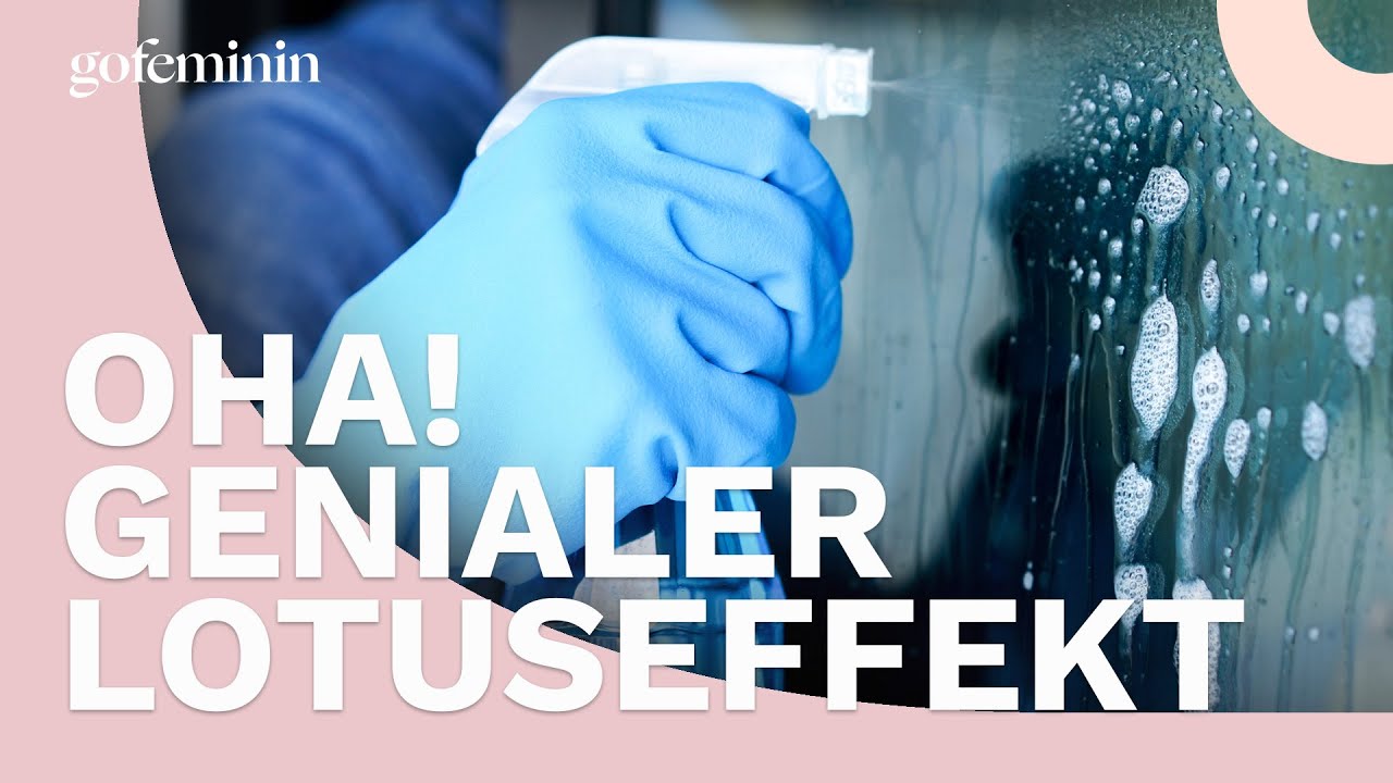 Genialer Lotuseffekt: Deshalb solltest du deine Dusche mit Klarsp&uuml;ler reinigen