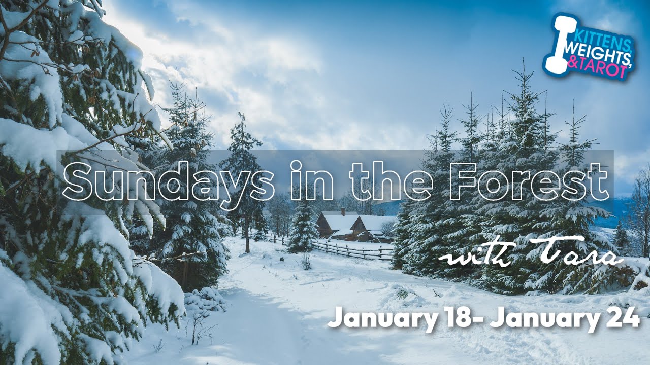 ❄️Sundays in the Forest: Healing Arthritis + Herbal Ally + Readings