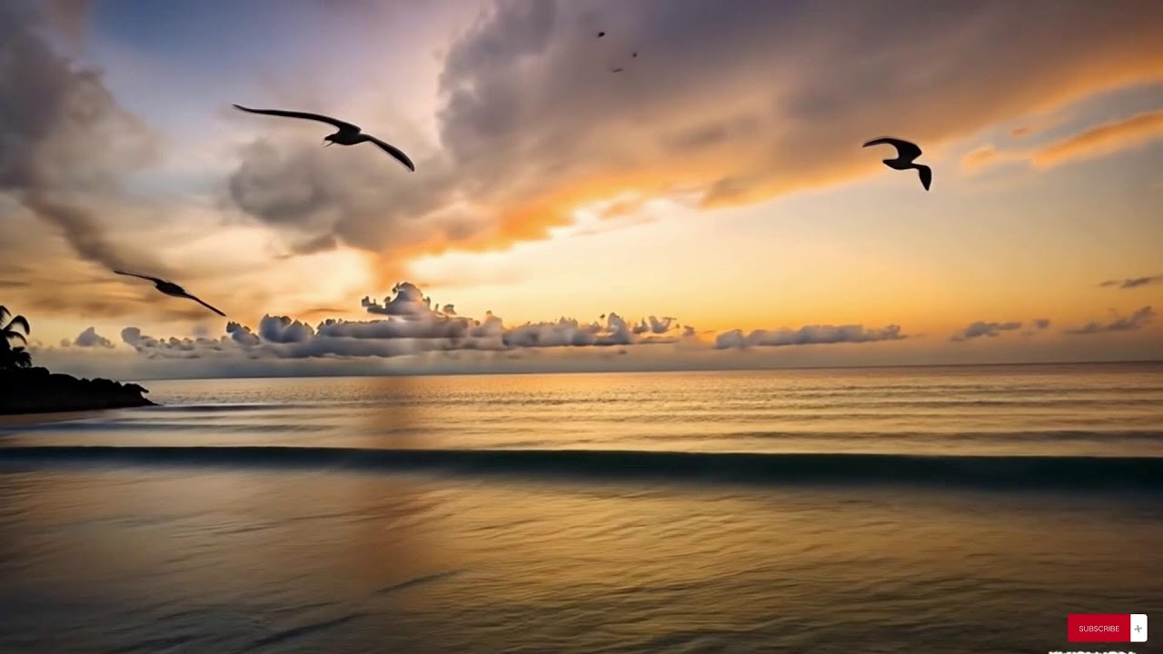 Reggae Music Mix 2025  😍  Best Reggae Love Beach Songs ,Top Reggae Special Relax  Music Special 21