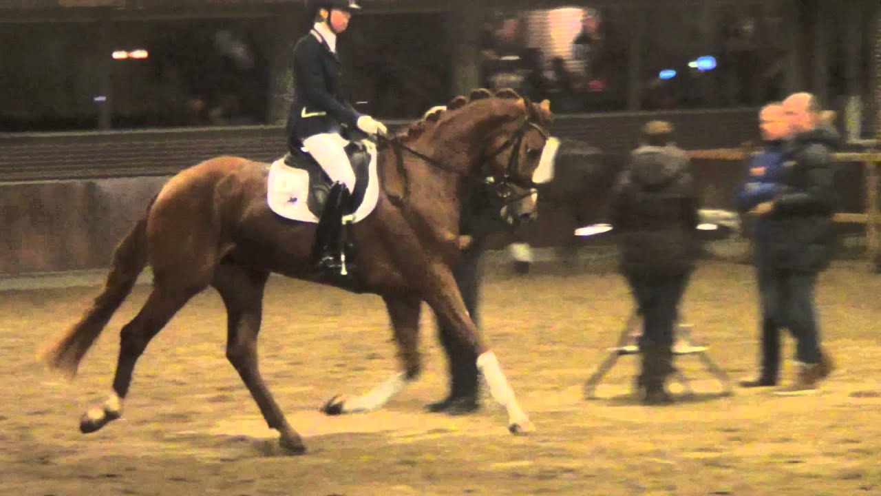 Kirsten Brouwer met Florence Sollenburg VSN finale elite mare 11 januari 2014
