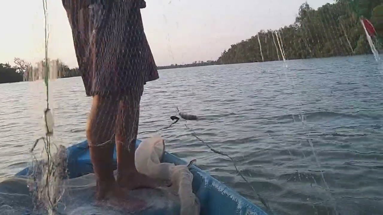 Thăm lưới cá úc sông cồn chim