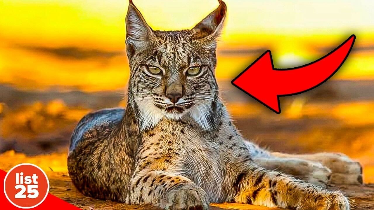 25 Facts That Are Surprisingly Scientifically Proven