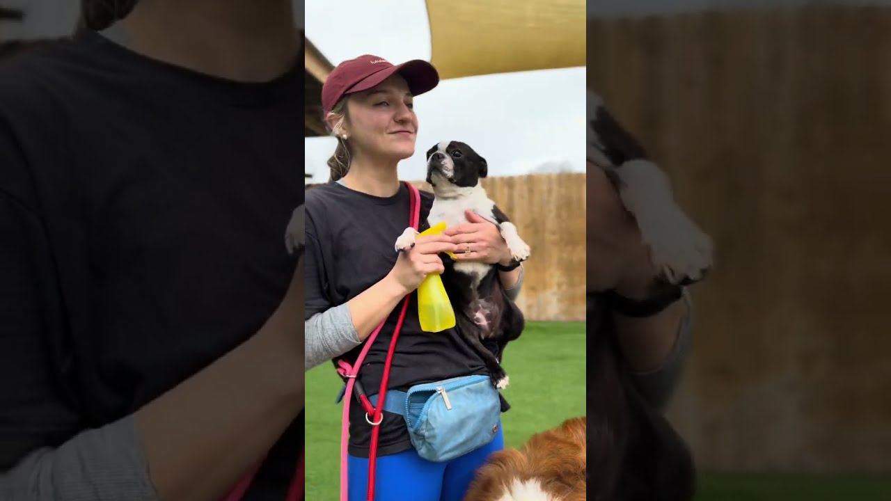 Daycare Video Recap pt. 7
