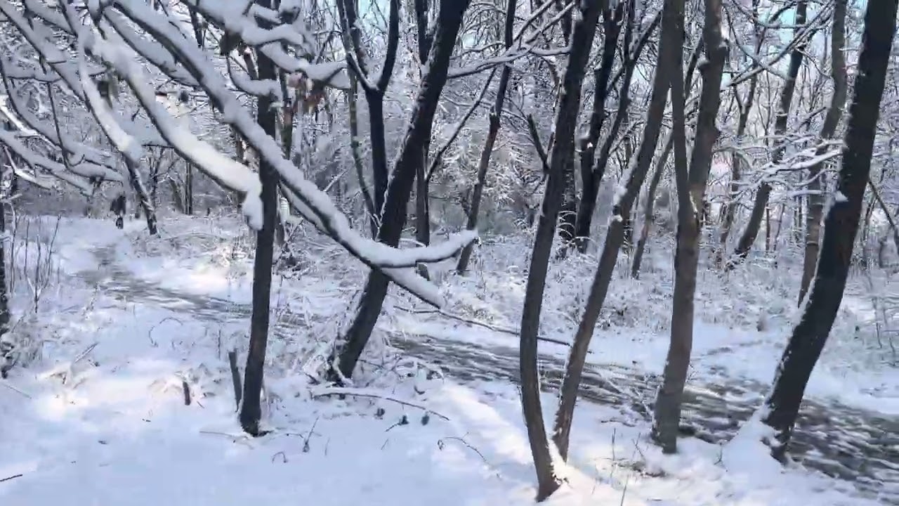 Зима как сказка пришла в Новороссийск 16 января 2026 год !