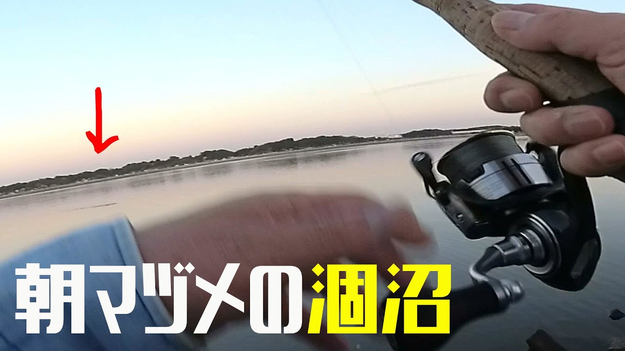 朝マヅメの涸沼でトップを投げ続けた　ー　涸沼【シーバス】－　涸沼シーバス－やまいぬ