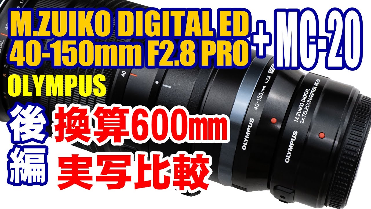 MZUIKO DIGITAL ED40-150mmF2.8PRO実写レビュー後編。２倍テレコンMC-20使用で換算600mm撮影テストしてみました。