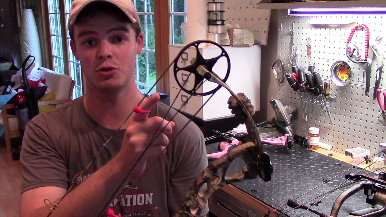 Cheap vs. Expensive Compound Bows