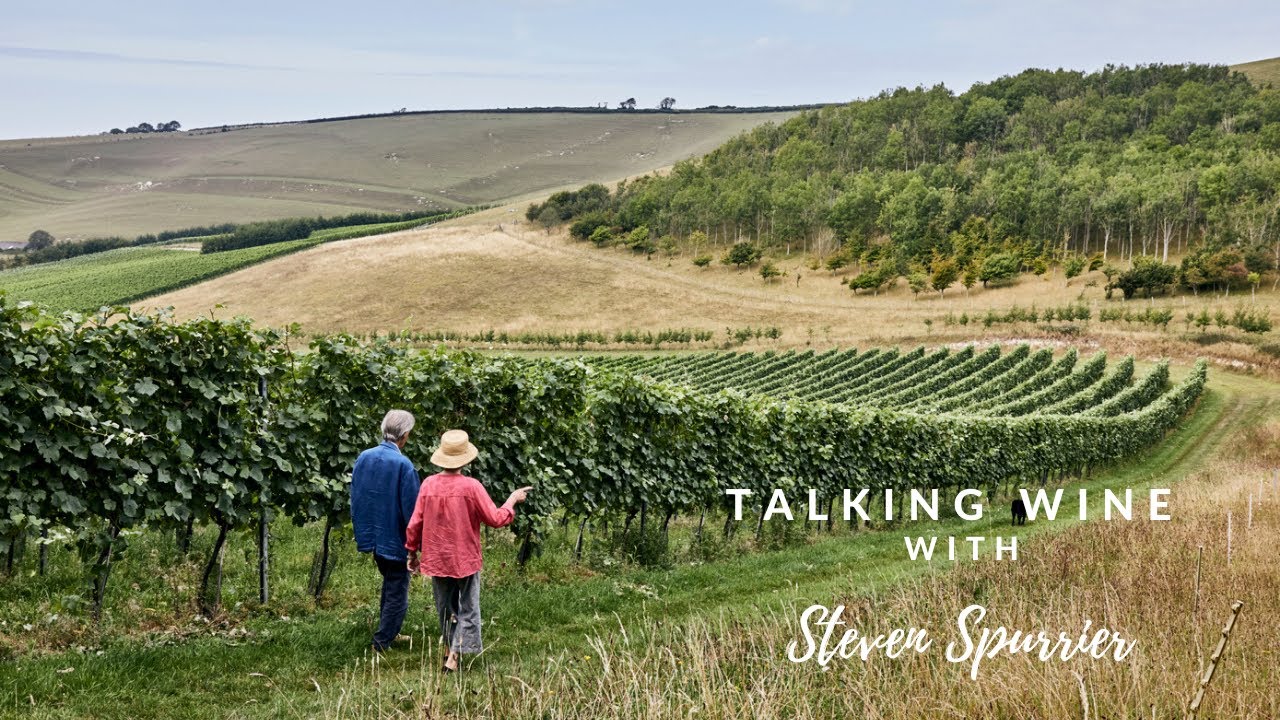 Talking Wine with Steven Spurrier – Bride Valley Vineyard