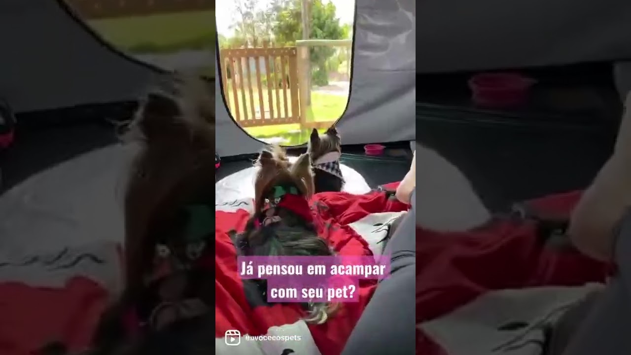 Camping PetFriendly pertinho de SP!!! Em breve tem v&iacute;deo novo!