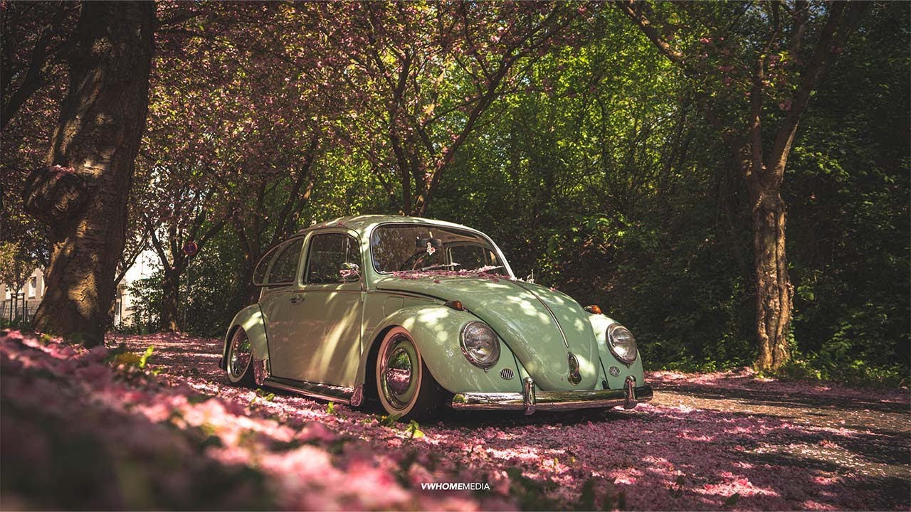 VW BEETLE | Uwe Wältermann | VWHome | 4K