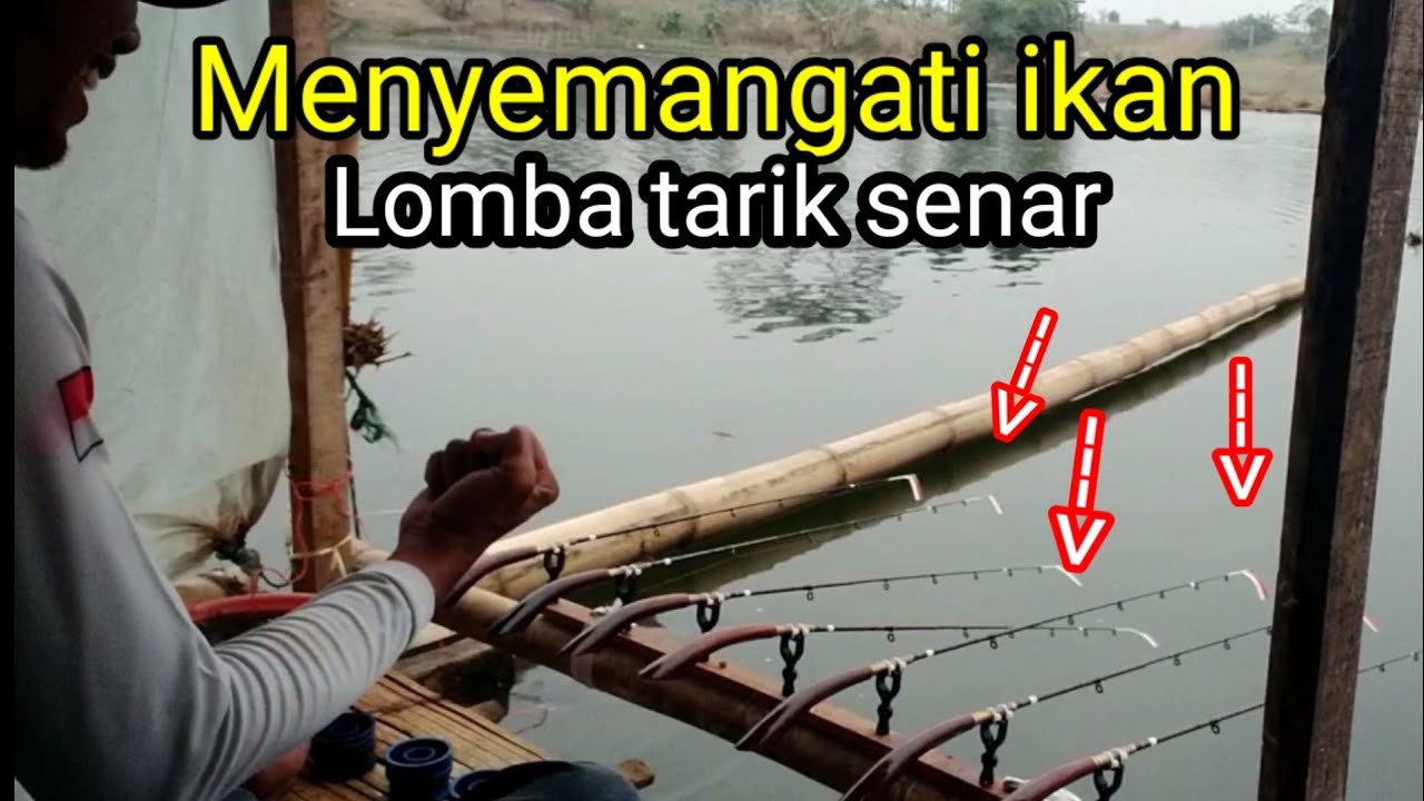 #Fish String Pulling Competition #17th Edition