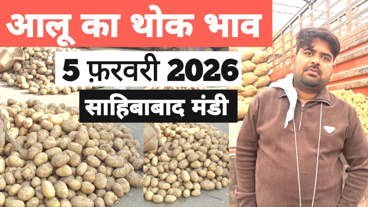5 February 2026 🥔आलू का भाव साहिबाबाद मंडी | toady potato rates #aalu #aalubhav #potato #delhimandi