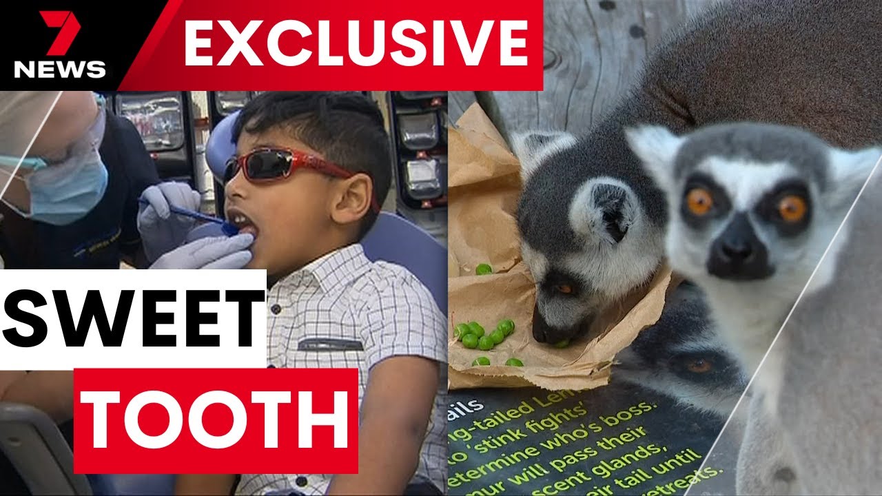 School holiday sweetener that's set to make Melbourne families smile | 7NEWS