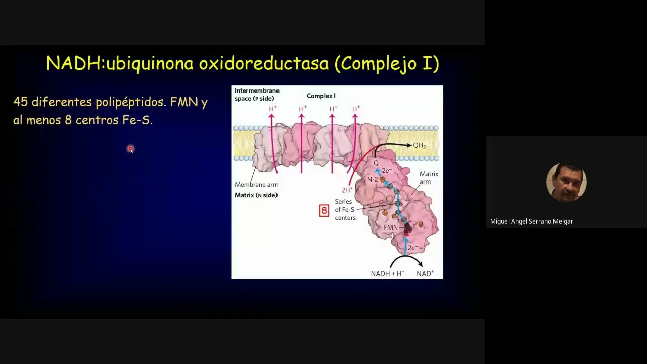 clase 17 cadena transportadora(720P_HD)