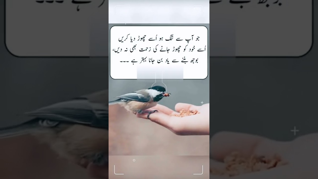 Beautiful Quotes in Urdu About respect | Beautiful Quotes In Urdu | Khoobsurat Quotes In Urdu