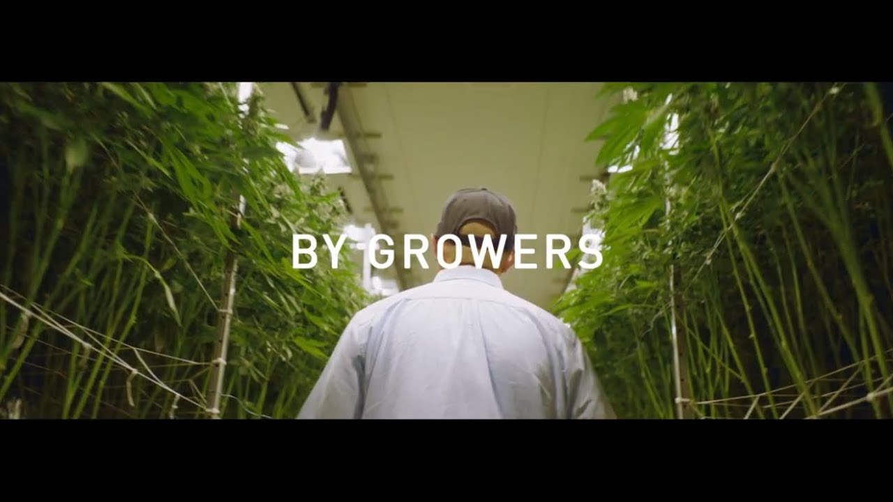 For Growers, By Growers - Luxx Lighting
