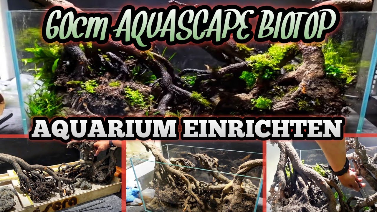 60cm AQUASCAPE - BIOTOP Aquarium einrichten | SaschaHoyerAquaArtist
