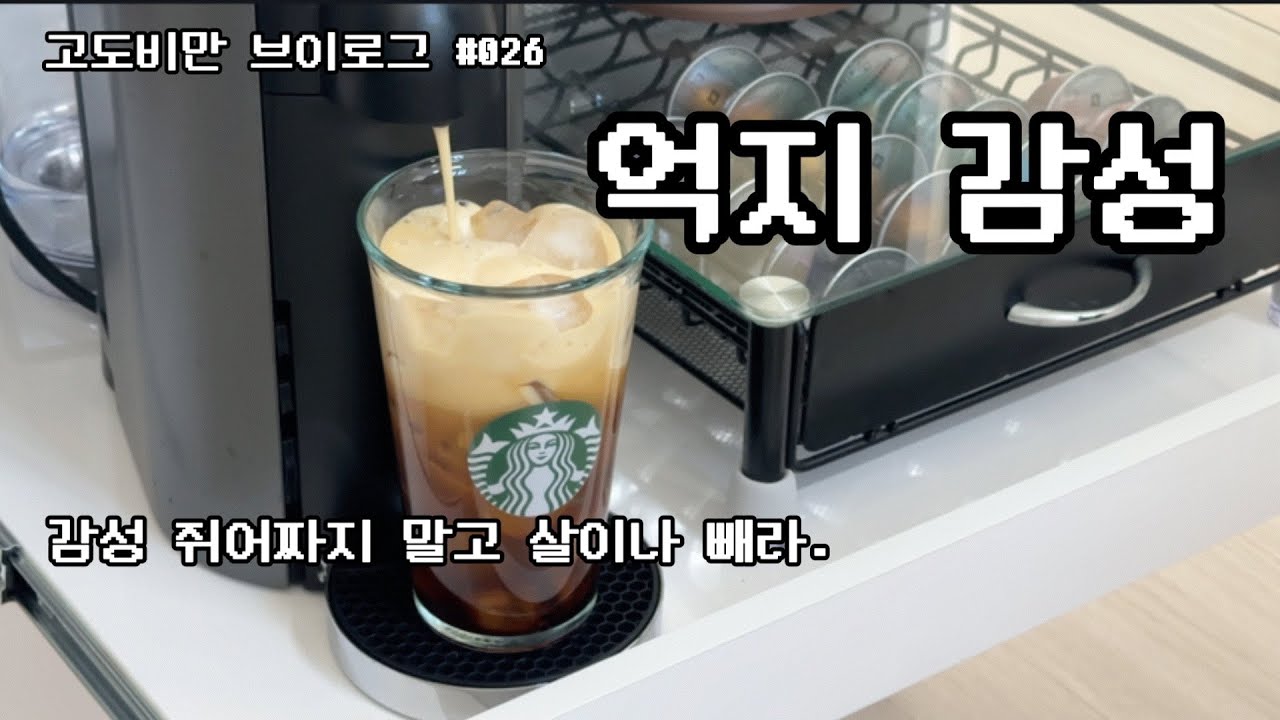 고도비만 브이로그 #026 | 저녁폭주의 굴레 | 운수 안좋은 날, 바싹불고기, 오리무쌈말이, 카페나들이, 번갯불에 콩구워 먹듯 다녀온 코스트코, 지옥에서 온 양파