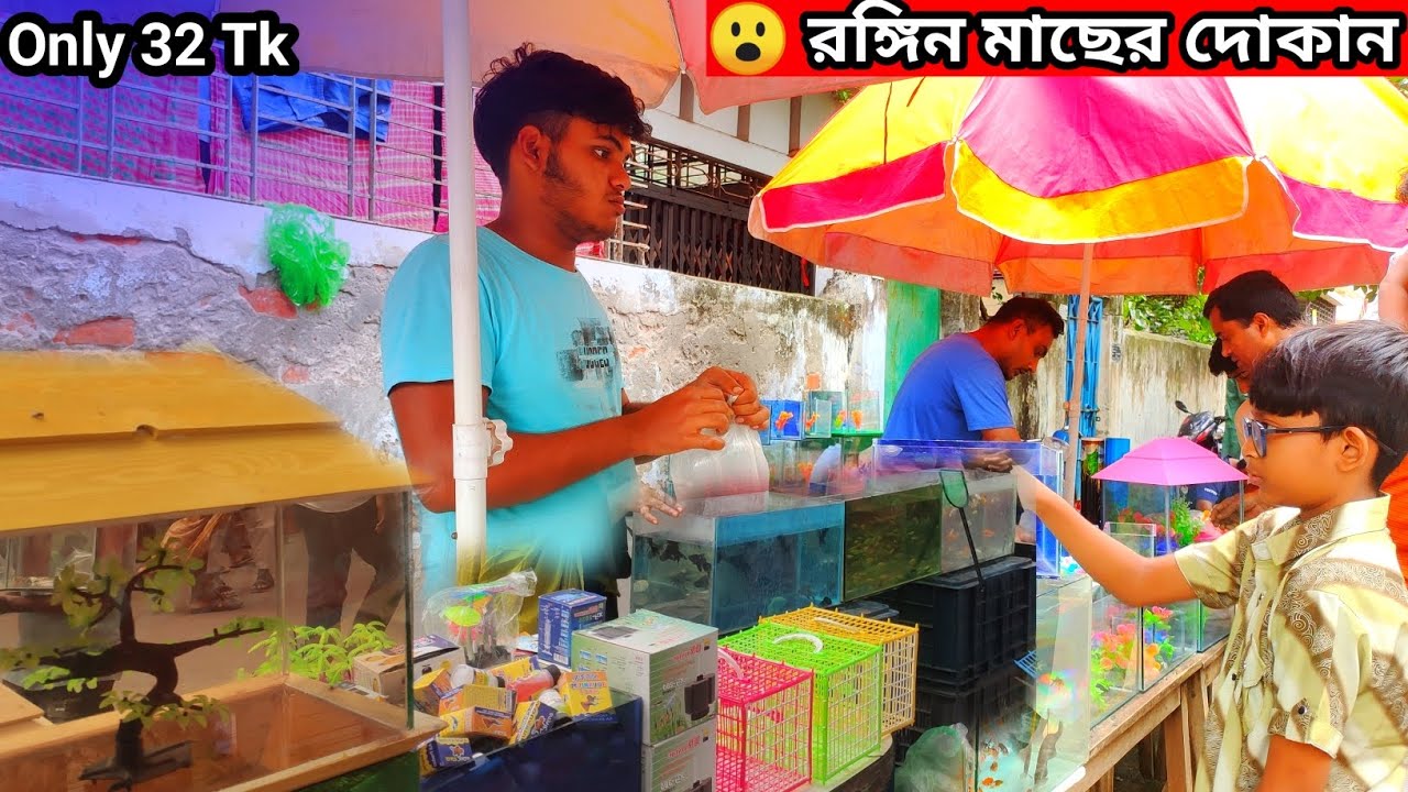 Aquarium Fish Price In katabon 2025|🐠🐠 Aquarium Fish Price | Aquarium | Noyabati aquarium🐠🐠