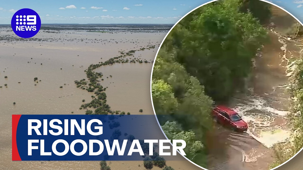Emergency crews save stuck Queenslanders | 9 News Australia