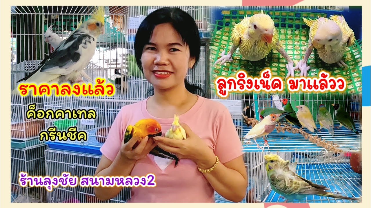 ค็อกคาเทล 600. ลูกป้อนริงเน็คก็มาแล้ว ร้านลุงชัย สนามหลวง2