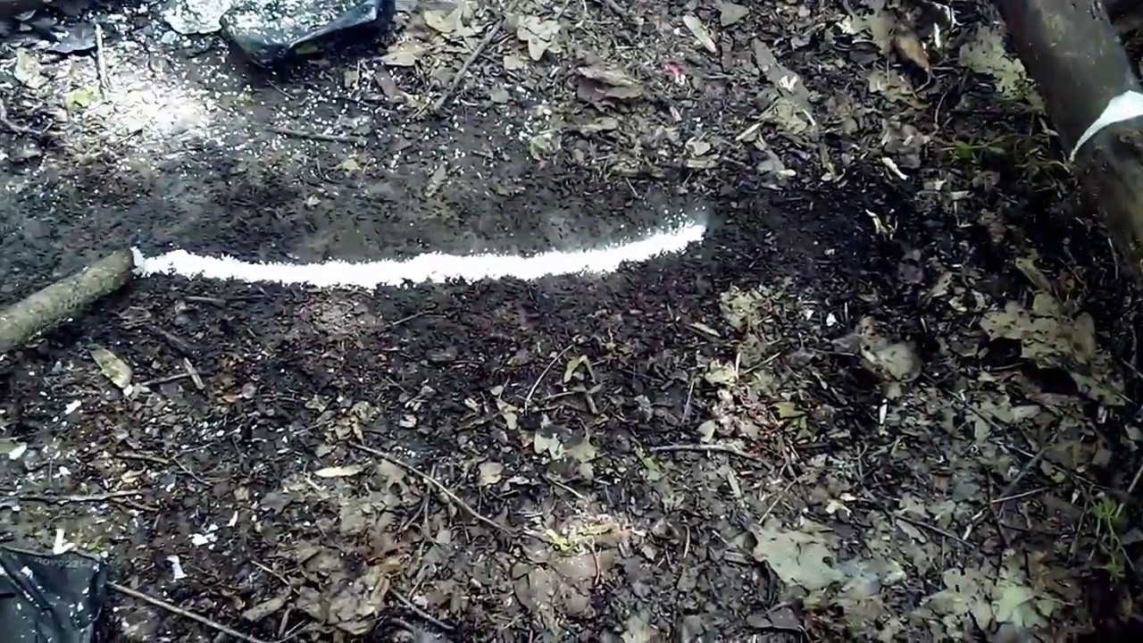 Deflagrations of ammonium perchlorate/aluminium hypophosphite 56/44 (or how tiny popcorn is made)