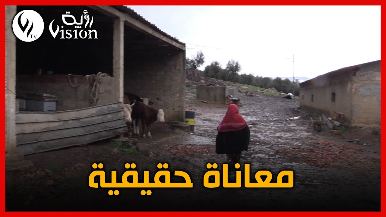 معاناة تلاميذ مشتة عين الجنان لإنعدام المواصلات وبعد المدارس بالطارف