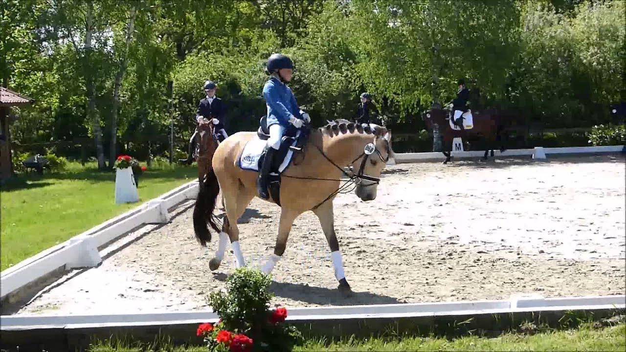 Lia & Alfi - Reiterwettbewerb Lienen 2015