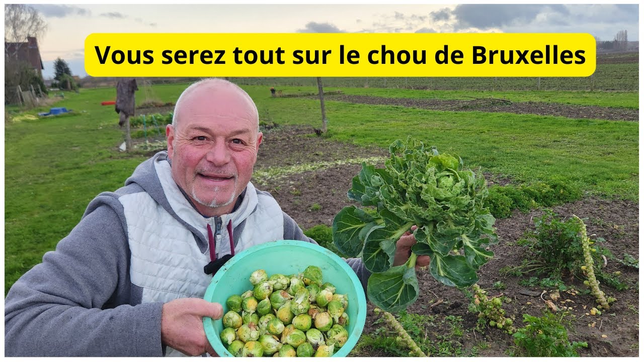 Pourquoi mettre des choux de Bruxelles dans son jardin ?