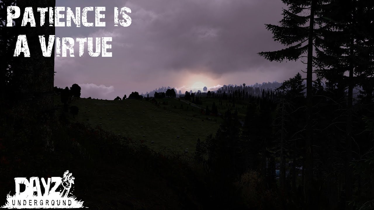 Patience is a Virtue